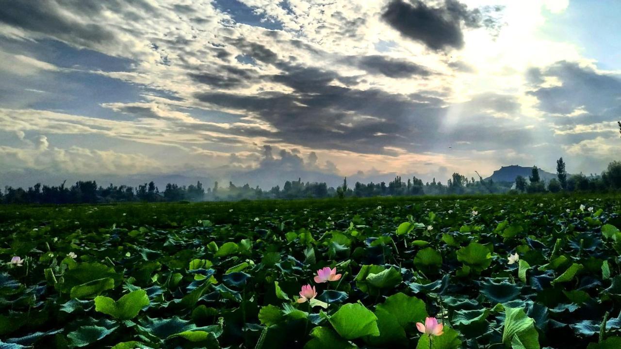 Green View Group Of Houseboats Hotel Srinagar  Ngoại thất bức ảnh