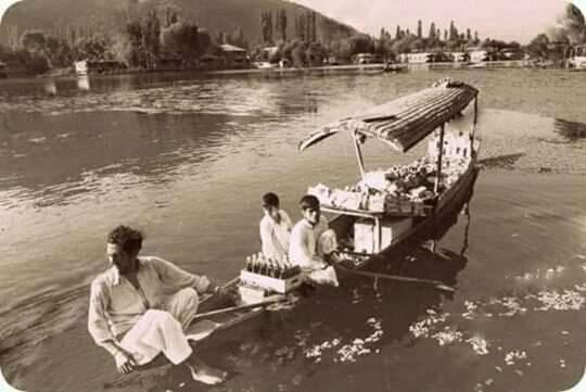 Green View Group Of Houseboats Srinagar  Ngoại thất bức ảnh