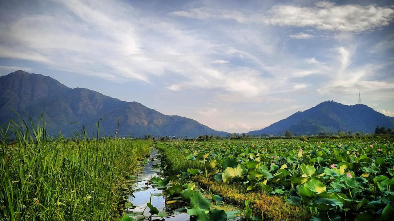 Green View Group Of Houseboats Hotel Srinagar  Ngoại thất bức ảnh